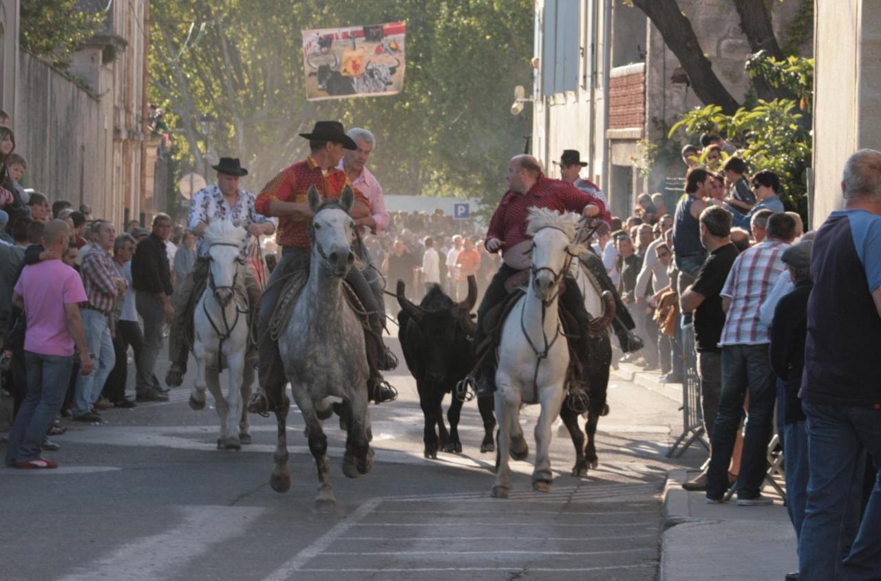 Gite De Vacances En Camargue ☆☆Nn Vauvert Zewnętrze zdjęcie