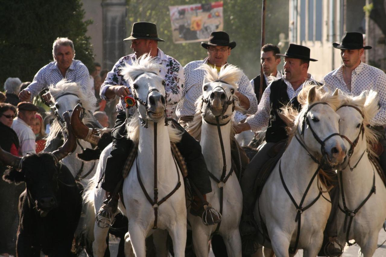 Gite De Vacances En Camargue ☆☆Nn Vauvert Zewnętrze zdjęcie